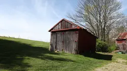 Fortune à l'abandon