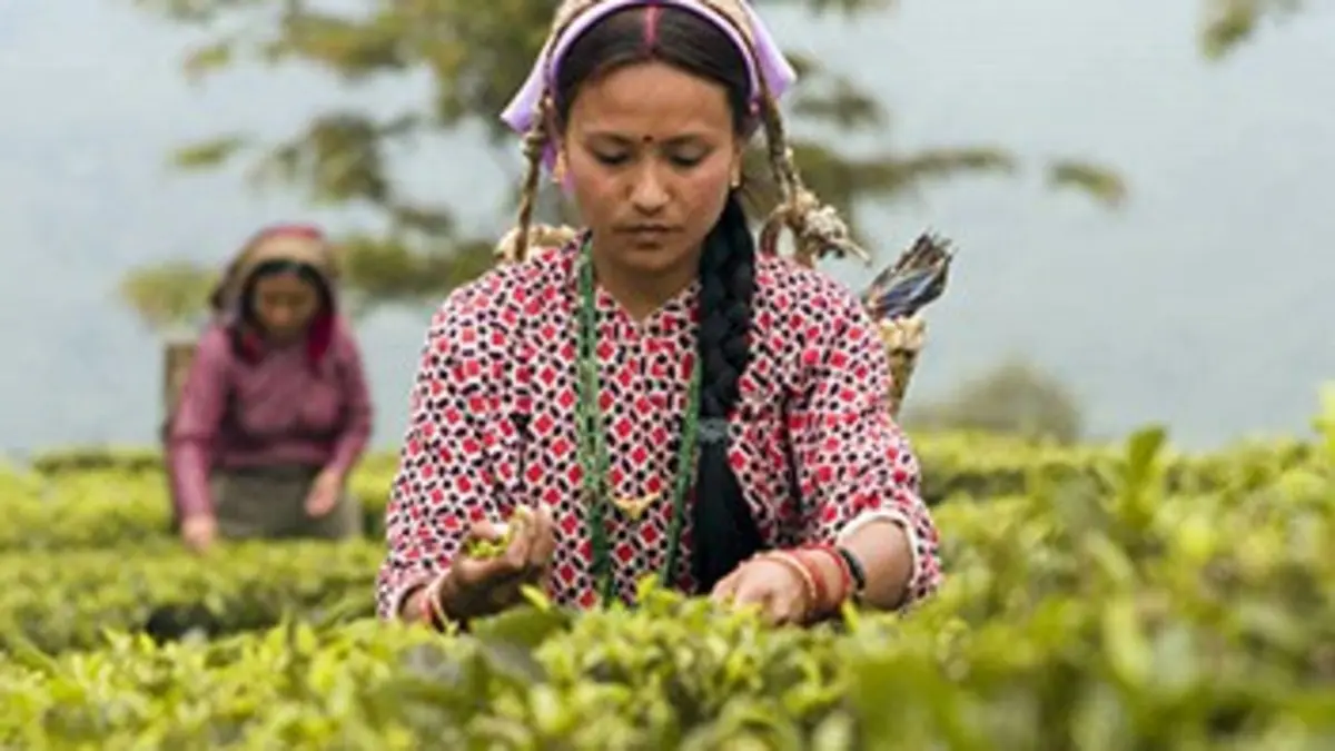 Fourchette et sac à dos S01E00 L'Inde (1/2)