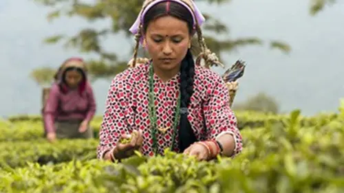 Fourchette et sac à dos S01E00 L'Inde (1/2)