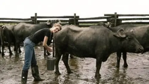 Fourchette et sac à dos S02E00 Destination Brésil