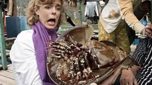 Fourchette et sac à dos S03E00 Destination Viêtnam