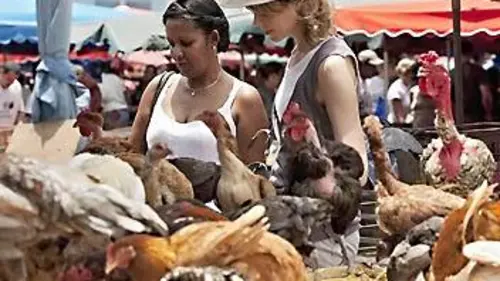 Fourchette et sac à dos S03E00 Destination La Réunion