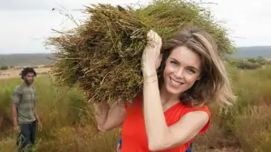 Destination Afrique du Sud