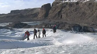 Fous d'Islande