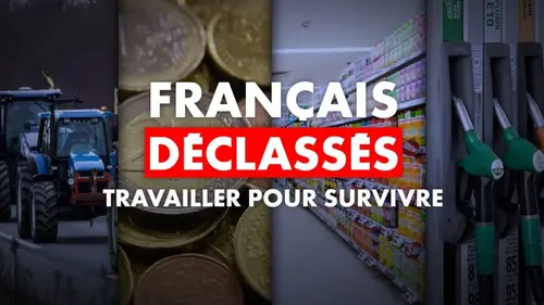 Français déclassés : travailler pour survivre