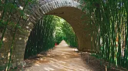 France : terre d'expériences Bambouseraie Cévennes