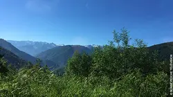 France terres sauvages : la forêt