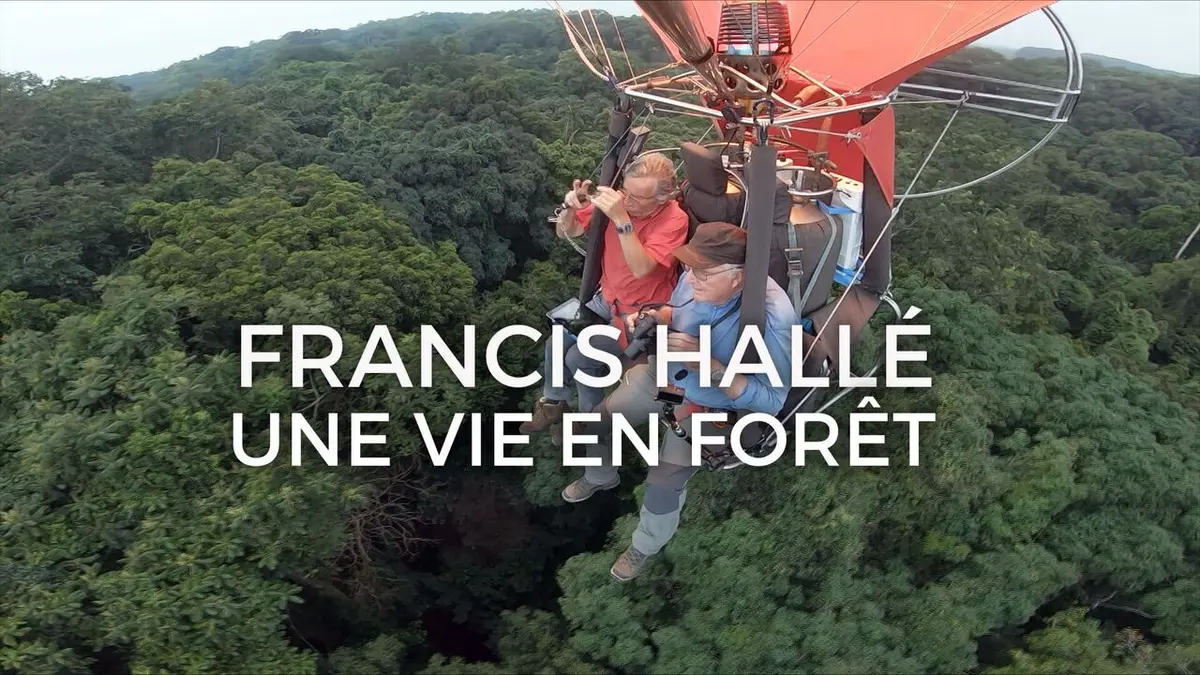 Francis Hallé, une vie en forêt