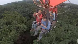 Francis Hallé, une vie en forêt