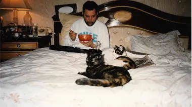Freddie Mercury, une vie en 10 photos