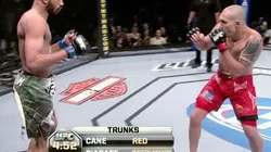 Visuel de Free Fight : au coeur de l'Ultimate Fighting Championship