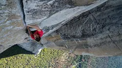 Free Solo