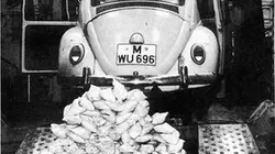 Visuel de French Connection, une histoire de familles