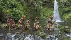 Frères des arbres, l'appel d'un chef papou