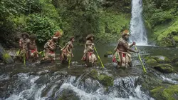 Frères des arbres, l'appel d'un chef papou