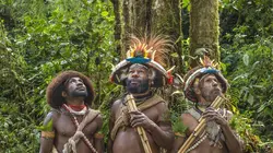Frères des arbres, l'appel d'un chef papou