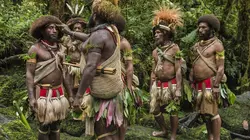 Frères des arbres, l'appel d'un chef papou