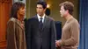 Monica Geller dans Friends S10E06 Celui qui a failli avoir la subvention (2003)