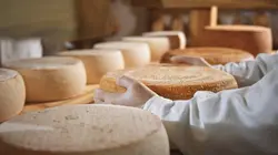 Fromage de chez nous