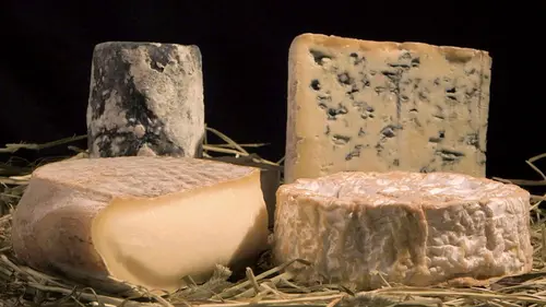 Fromages AOP Le terroir caisse ?