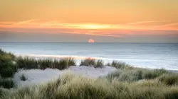 Sur Planète+ Aventure à 21h00 : Full Custom Garage