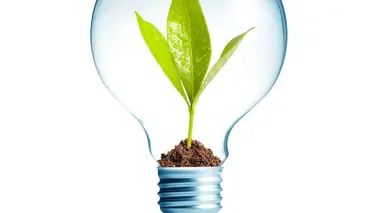 Les facilitateurs d'entreprises