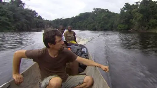 Gabon, la grande forêt
