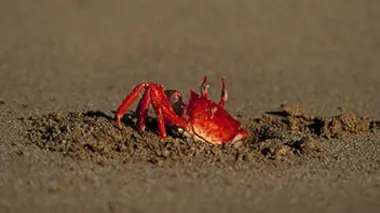 Des îles qui ont changé le monde