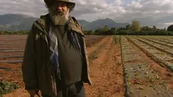 Visuel de Galères et joies