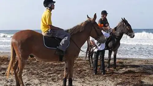 Galop sur le Tombolo