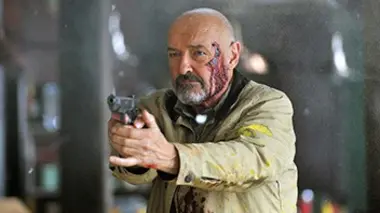 Le renard dans le poulailler