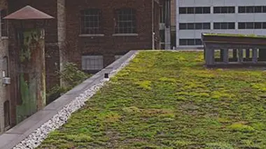 Les jardins de béton