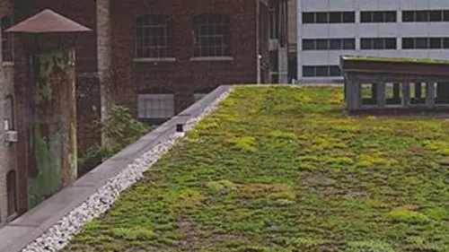 Garde-manger S01E00 Les jardins de béton