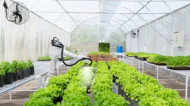 Le potager expérimental de l'AgroParisTech