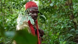 Gardiens de la forêt Gabon : La forêt qui soigne