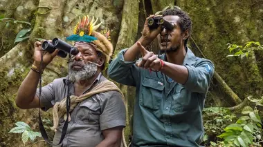 Papouasie-Nouvelle-Guinée : Le temps des solutions
