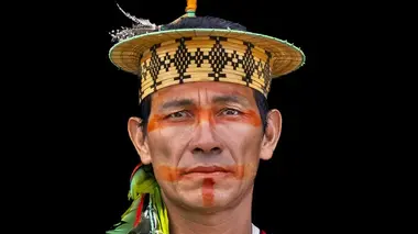 Brésil : Replanter l'Amazonie