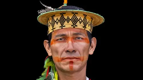 Gardiens de la forêt Brésil : Replanter l'Amazonie