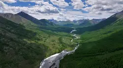 Gardiens de la forêt Mongolie - Le sanctuaire de la taïga