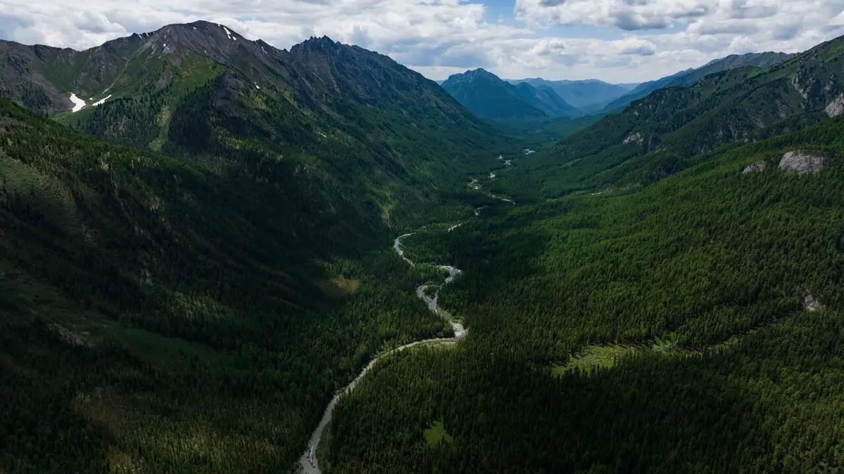 Visuel de Gardiens de la forêt Canada : La voie des ancêtres
