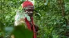 Gardiens de la forêt S01E02 Gabon : La forêt qui soigne (2023)