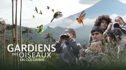 Sur Ushuaïa TV à 20h50 : Gardiens des oiseaux en Colombie