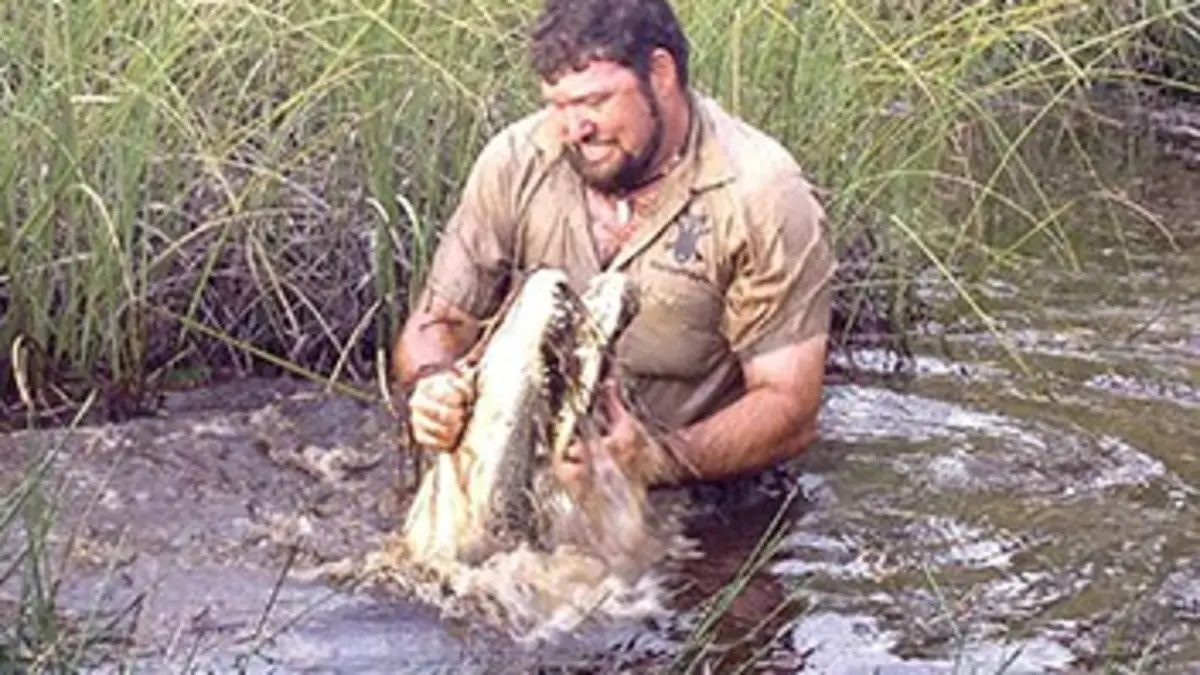 Gator Boys : au secours des alligators S03E00 Un sauvetage qui tourne mal