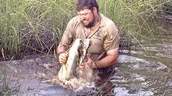 Visuel de Gator Boys : au secours des alligators