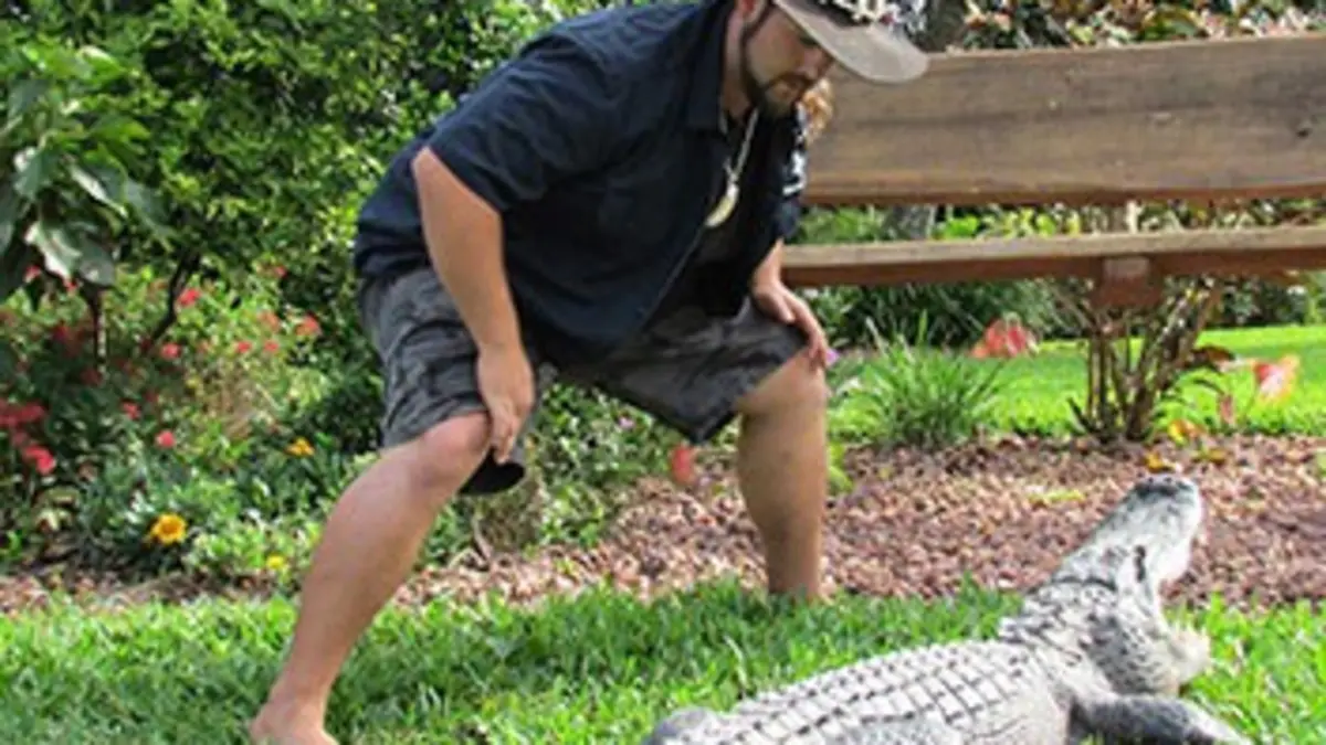 Gator Boys : au secours des alligators S03E00 Becca-Boo, fan de Jimmy