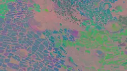 Gaudí, le génie visionnaire de Barcelone