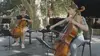 Gautier Capuçon, voyage musical