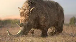 Géants de l'âge de glace E02 Froid extrême