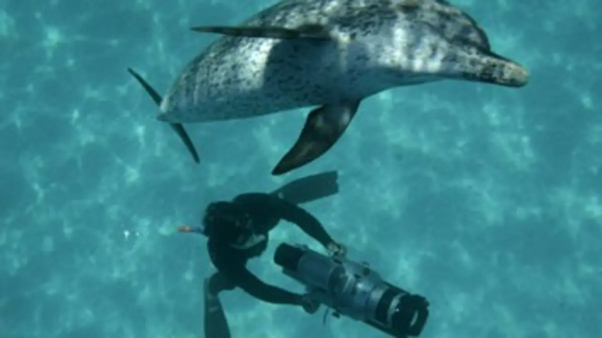 Géants de l'océan S01E02 L'intelligence des cétacés