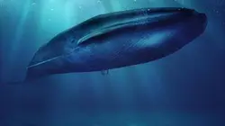 Visuel de Géants des océans